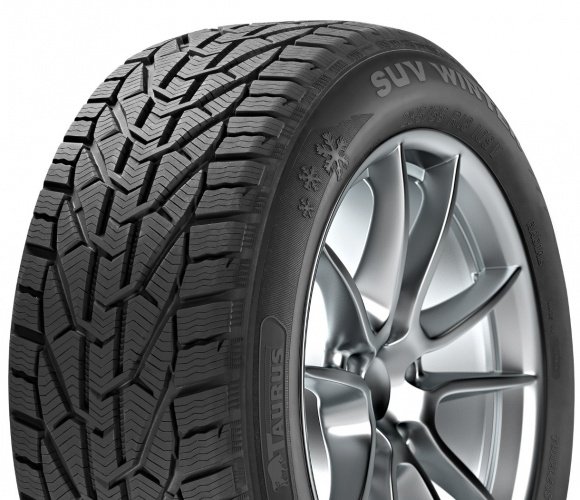 Taurus Winter (RIM FRINGE PROTECTION) 205/55 R16 - Image 2
